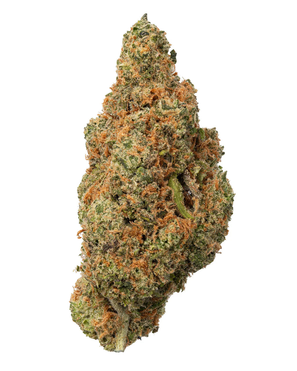 Jack Herer [Nuevo ingreso]